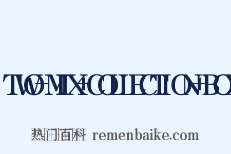 TWO-MIX+COLLECTION+BOX是什么意思的图片